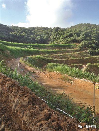 广东省石场开采规模规定及其影响