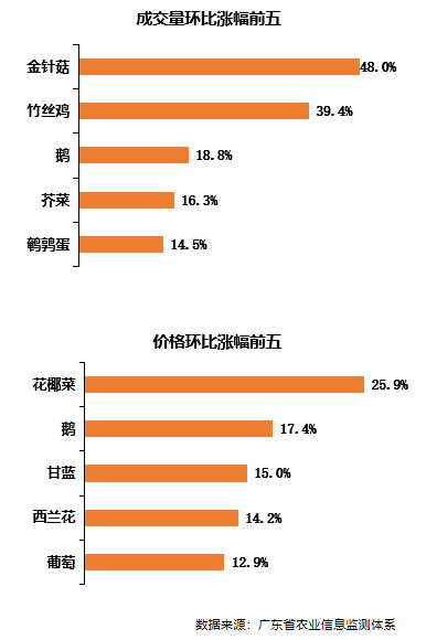 三个月赚五十万的方法，探索高效盈利途径